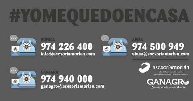 Asesoría Morlán adopta medidas en relación a la propagación del COVID-19